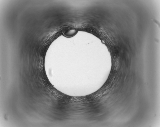 X0000094971301200712271733