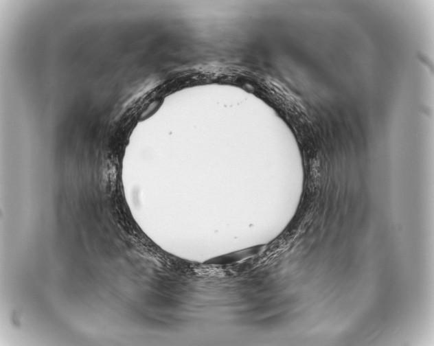 X0000094971302200712271733