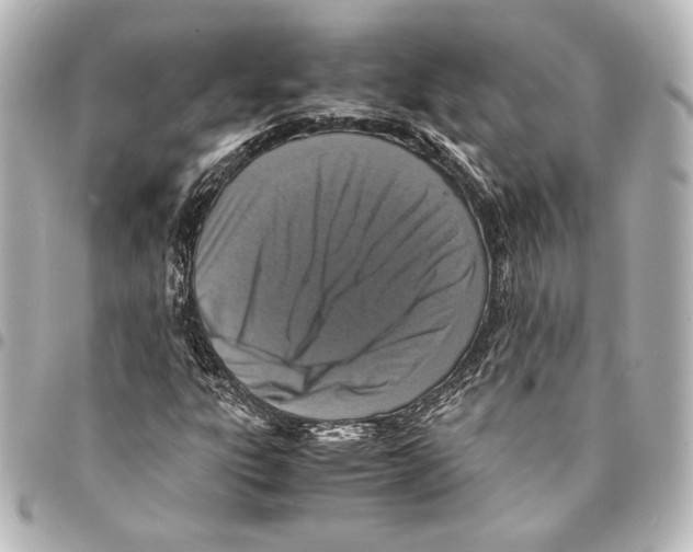 X0000094971303200712271733