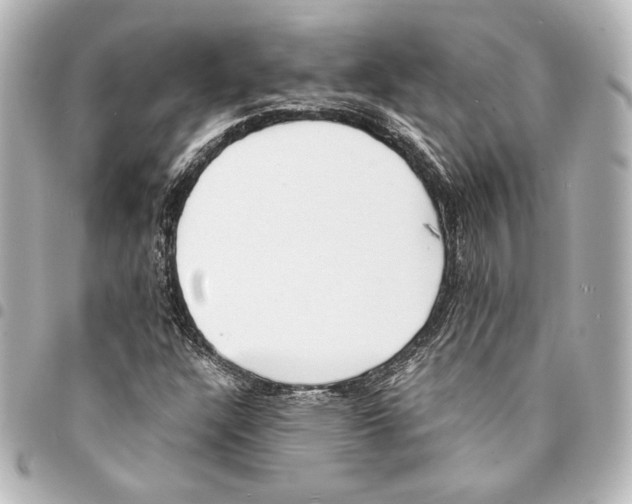 X0000094971304200712271733