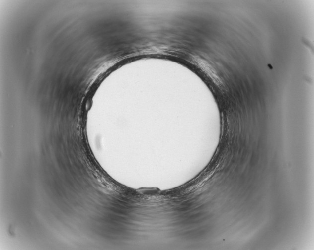 X0000094971308200712271733