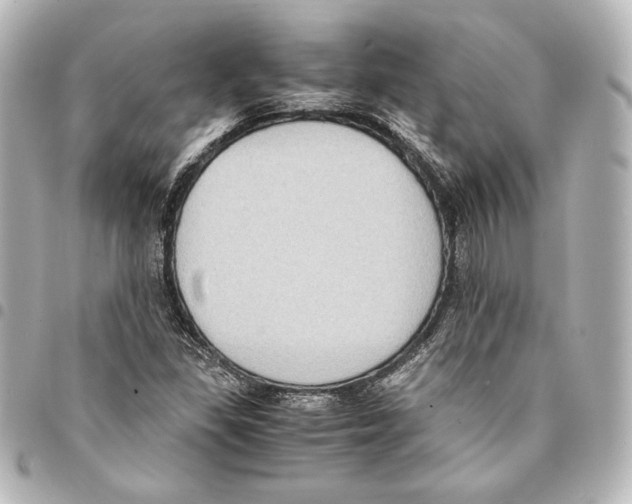 X0000094971309200712271733