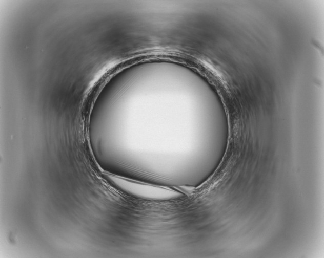 X0000094971310200712271733