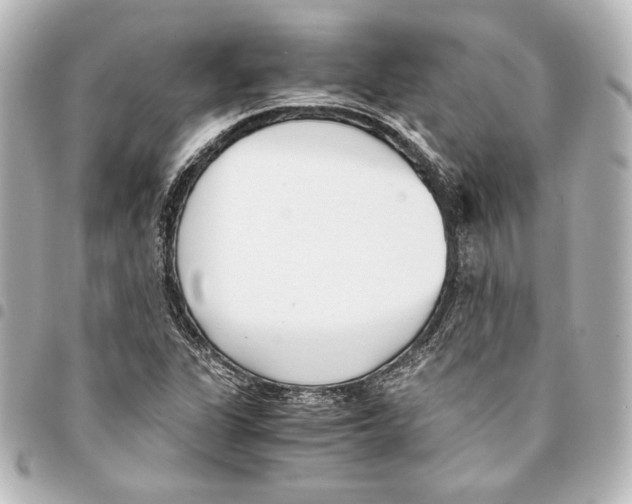 X0000094971311200712271733