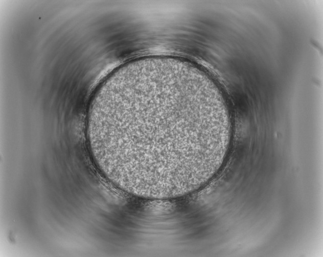 X0000094971314200712271733