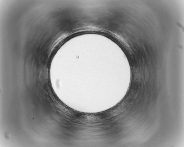 X0000094971318200712271733