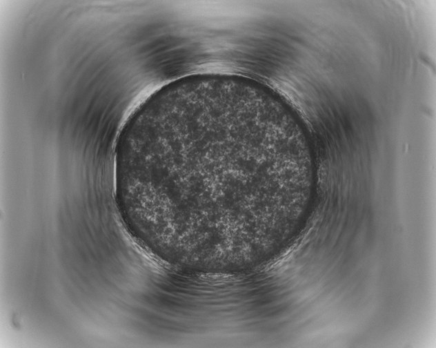 X0000094971323200712271733