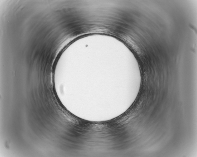 X0000094971324200712271733