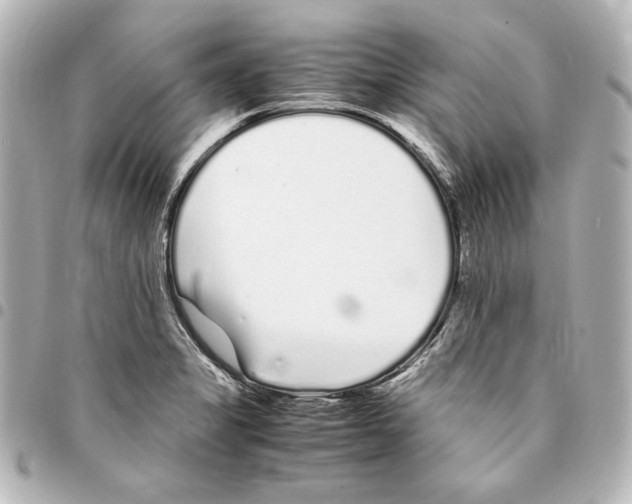 X0000094971325200712271733