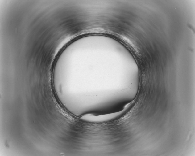 X0000094971326200712271733