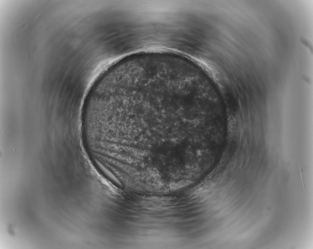 X0000094971327200712271733