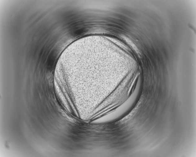 X0000094971329200712271733