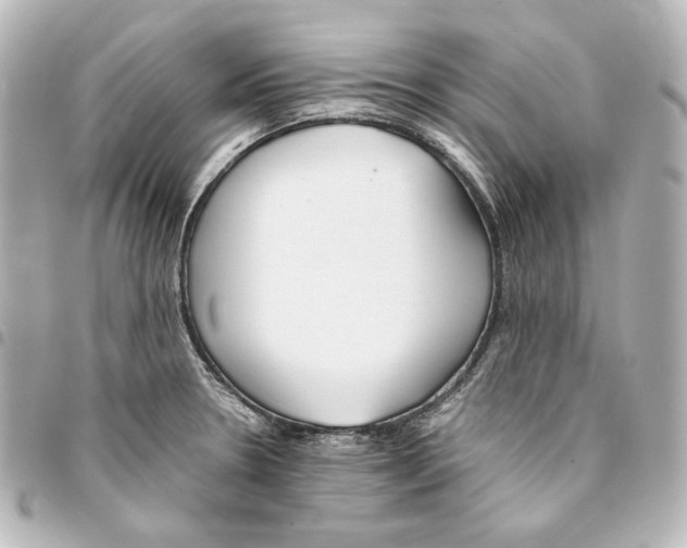 X0000094971330200712271733