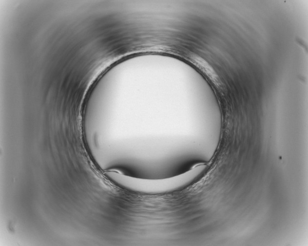 X0000094971332200712271733