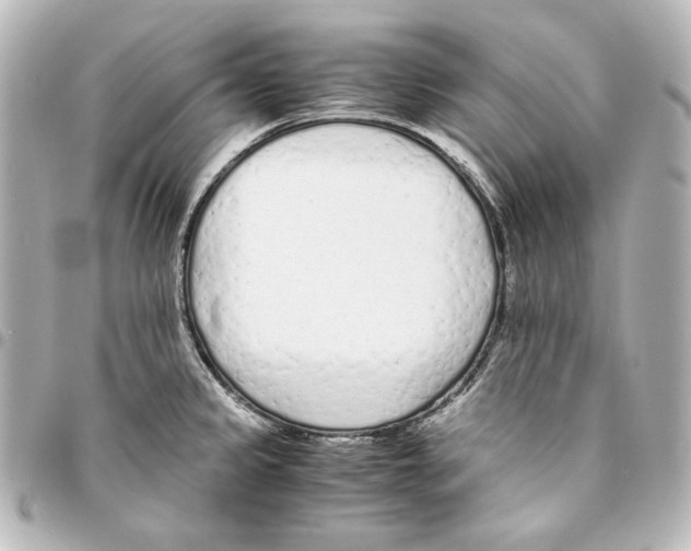 X0000094971333200712271733