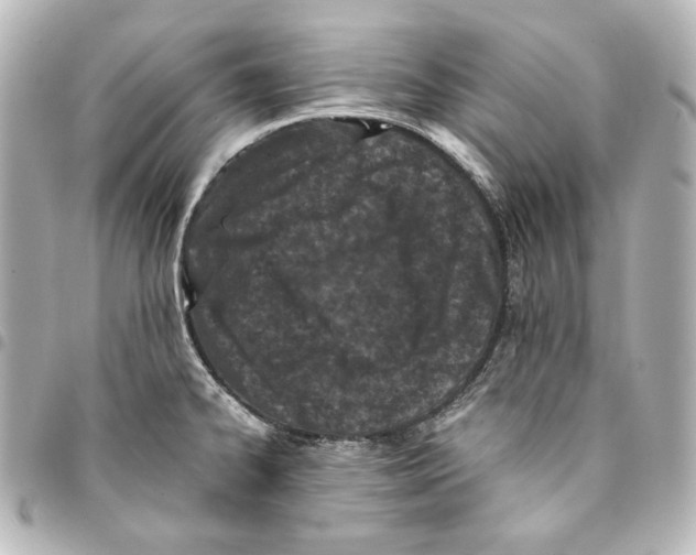 X0000094971334200712271733