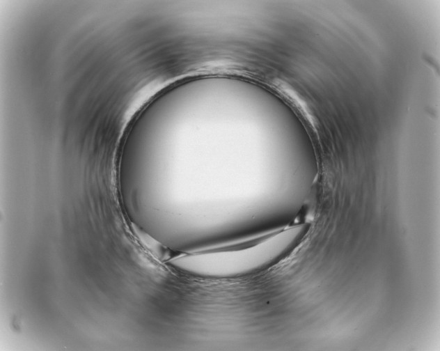 X0000094971336200712271733