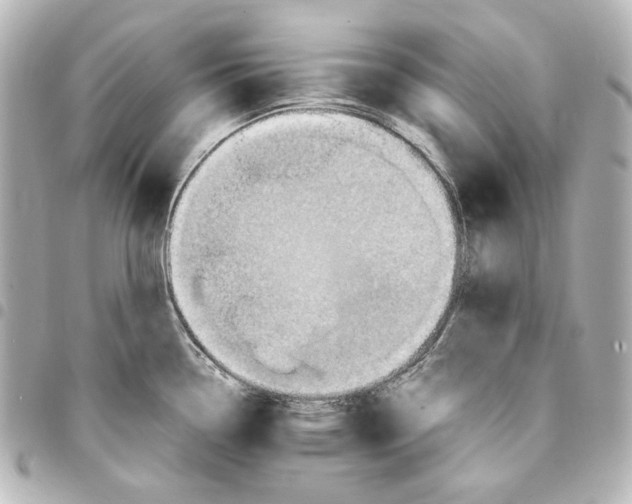 X0000094971338200712271733