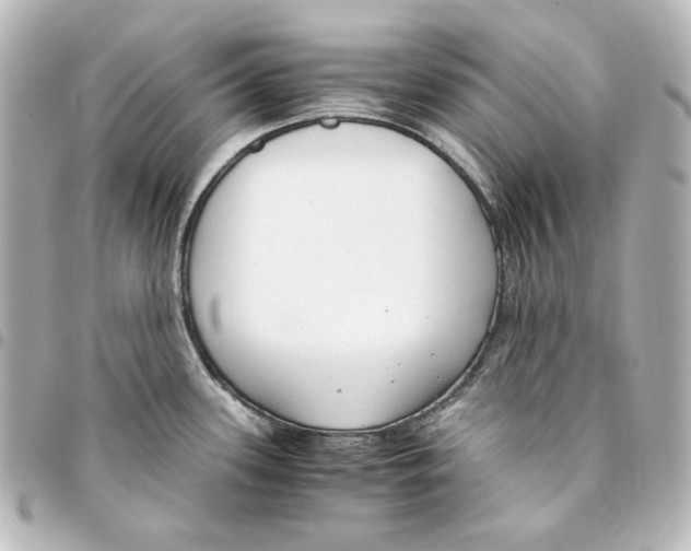 X0000094971339200712271733