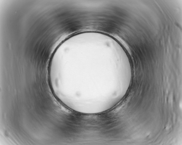 X0000094971341200712271733