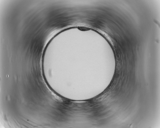 X0000094971343200712271733