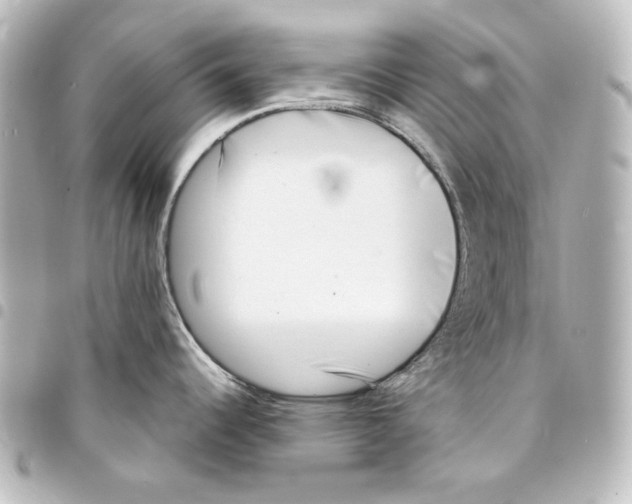 X0000094971344200712271733