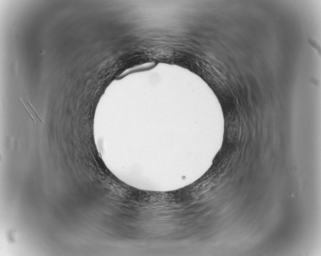 X0000094971345200712271733