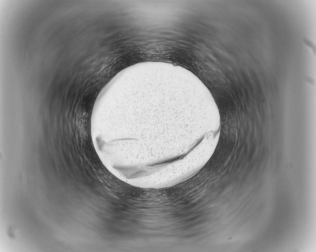 X0000094971346200712271733