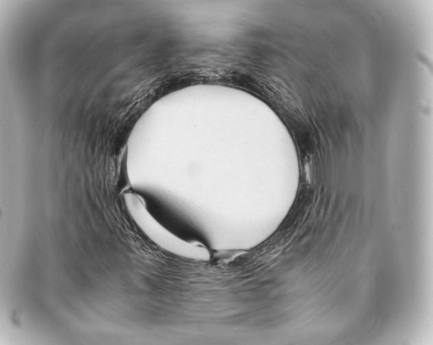 X0000094971347200712271733