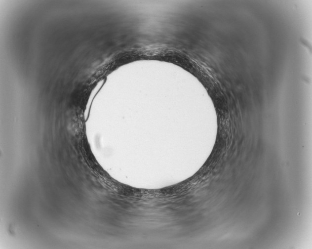 X0000094971349200712271733