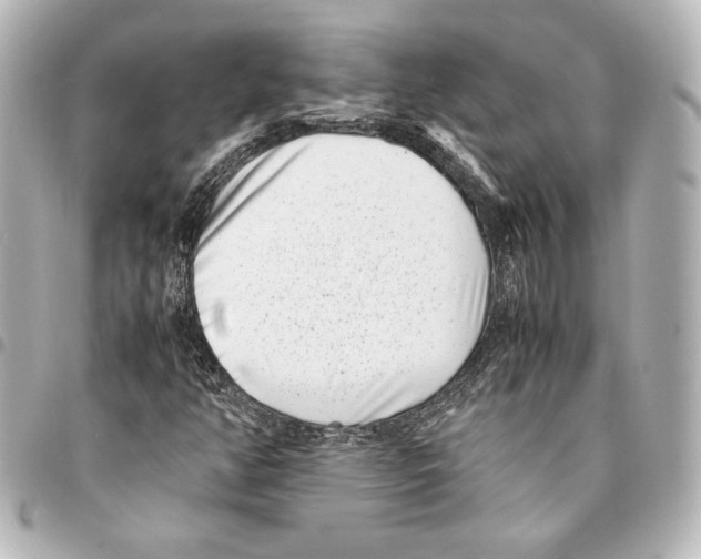 X0000094971350200712271733