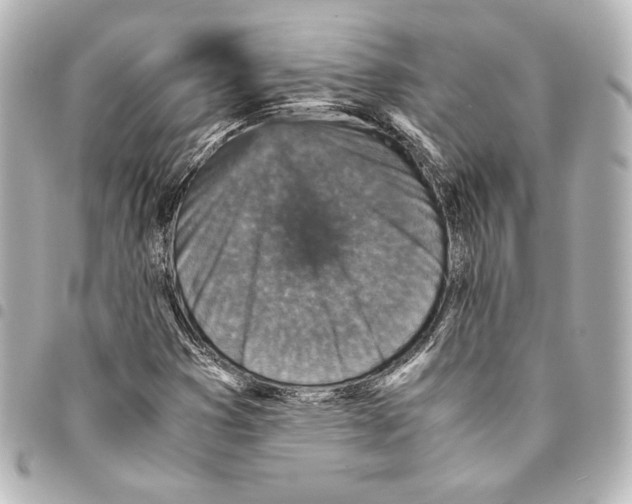 X0000094971353200712271733