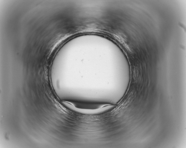 X0000094971356200712271733