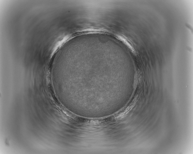 X0000094971357200712271733