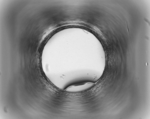 X0000094971360200712271733