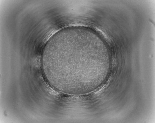 X0000094971361200712271733