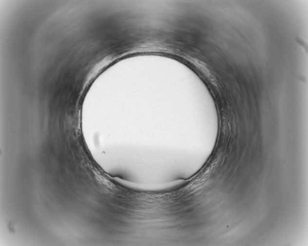 X0000094971366200712271732