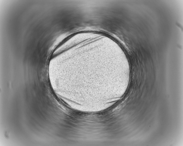 X0000094971367200712271732