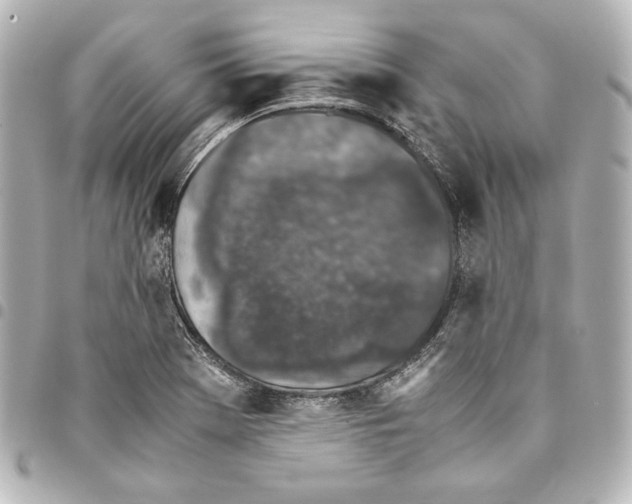 X0000094971369200712271732