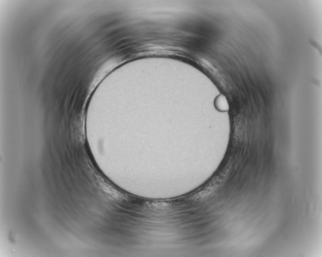 X0000094971370200712271732