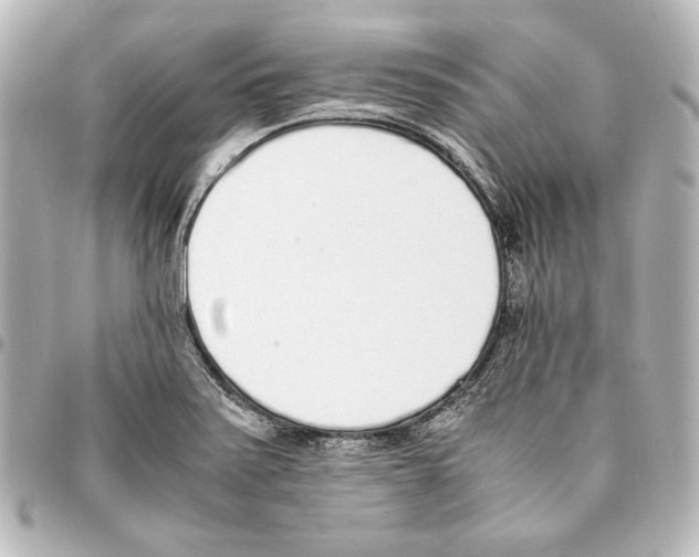 X0000094971371200712271732