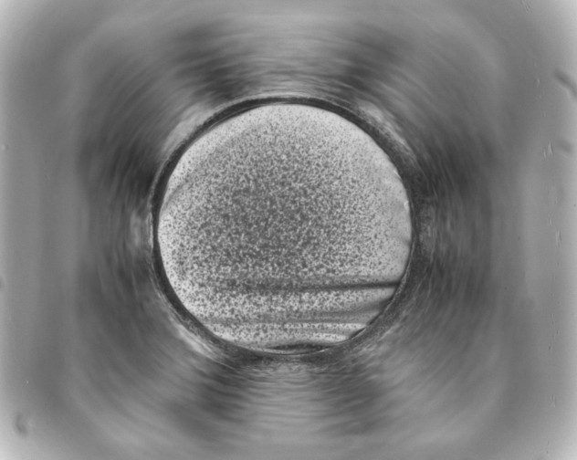 X0000094971372200712271732