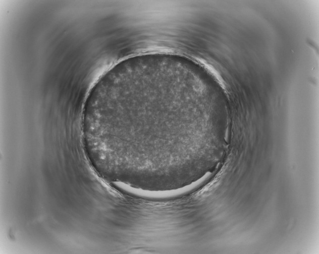 X0000094971373200712271732