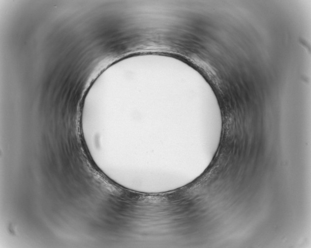 X0000094971374200712271732