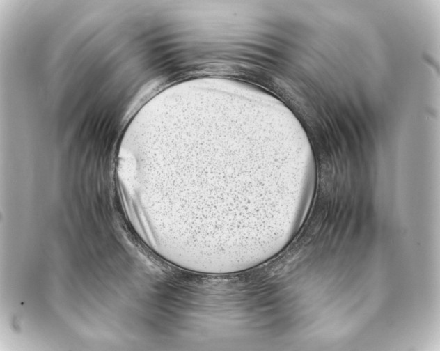 X0000094971378200712271732