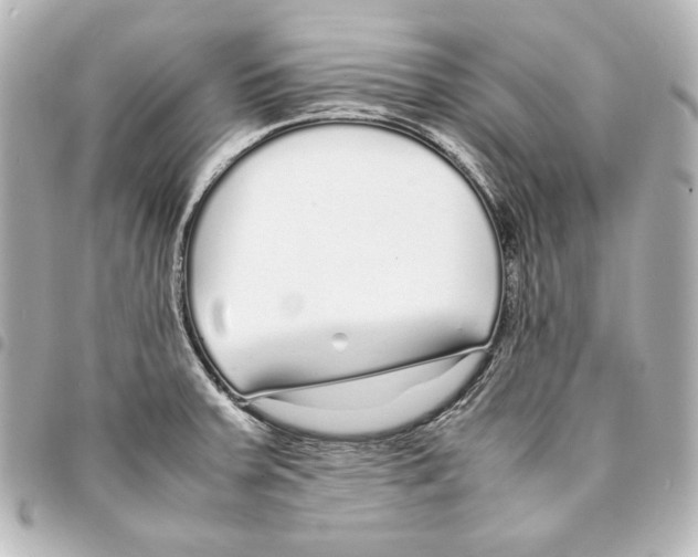 X0000094971379200712271732