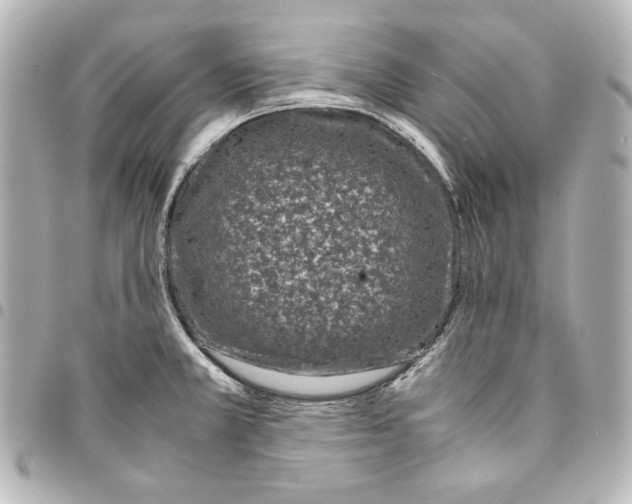 X0000094971381200712271732