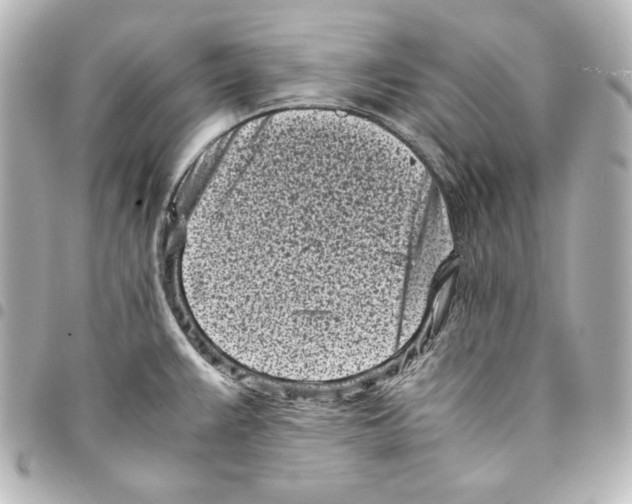 X0000094971383200712271732