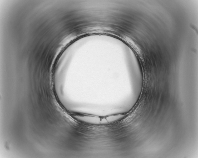 X0000094971384200712271732