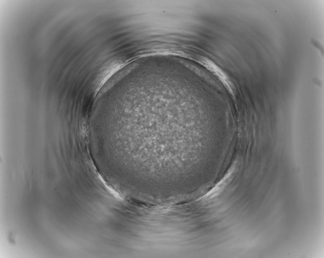 X0000094971385200712271732